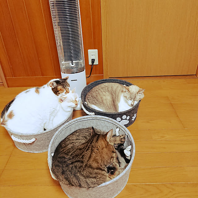 nachiさんの実例写真