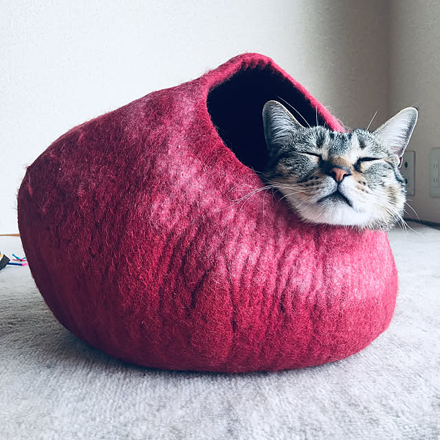 mugisobaさんの実例写真