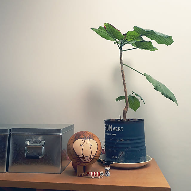 treeさんの実例写真