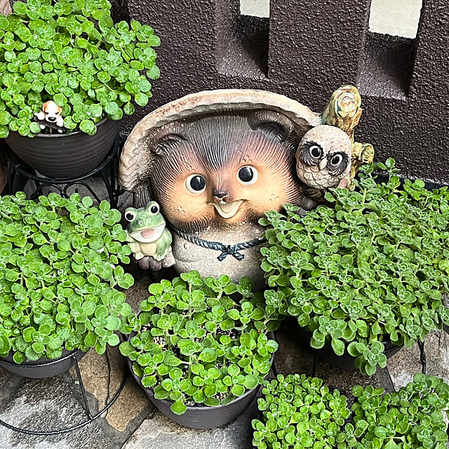 mihoさんの実例写真