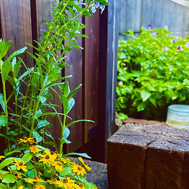 chacoさんの部屋