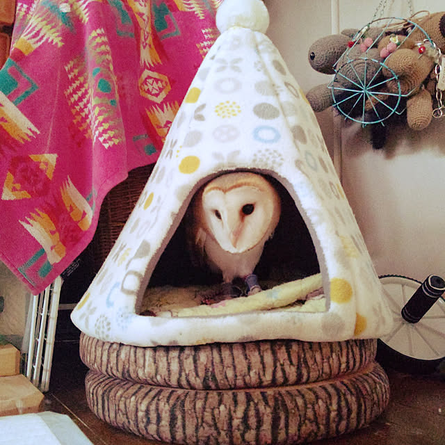 mikiさんの実例写真