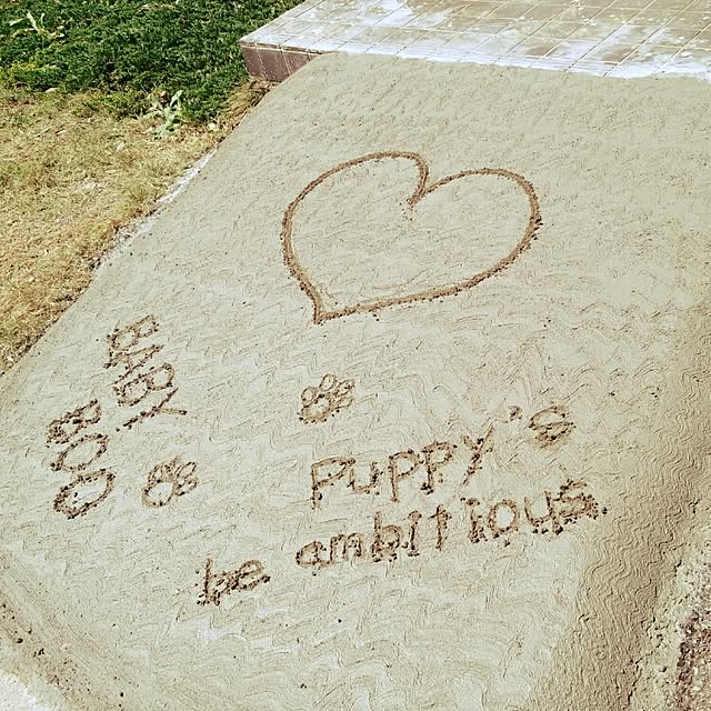 DogGardenBaByBooさんの実例写真