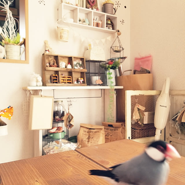 miiさんの実例写真