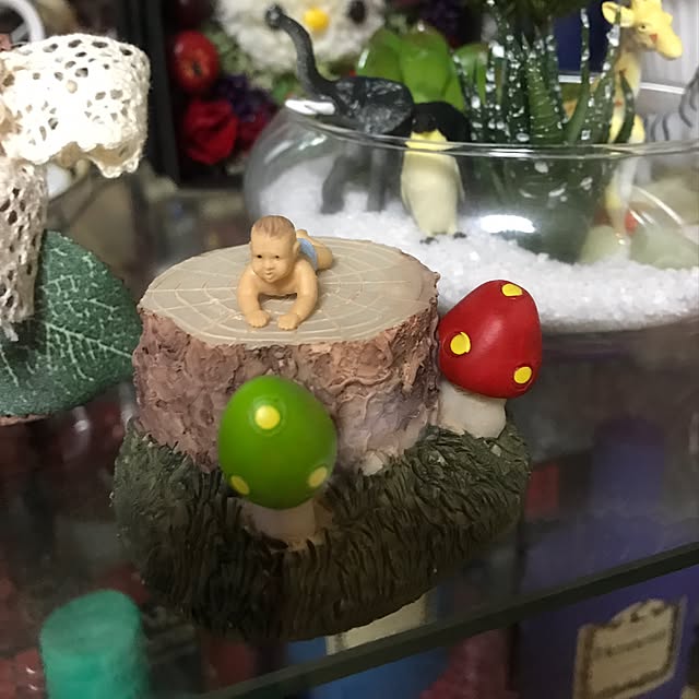実例写真