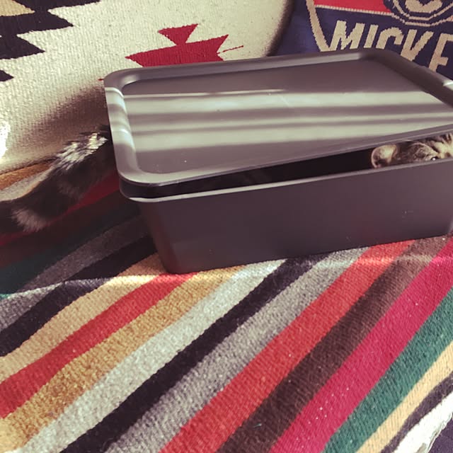 Tabasaさんの実例写真