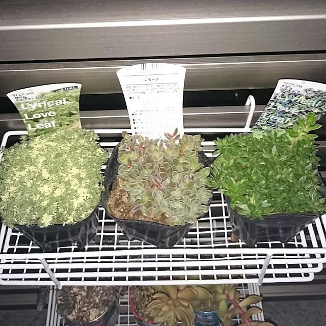 hideさんの実例写真