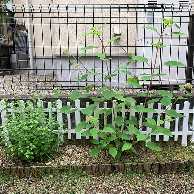 sayamamaさんの実例写真