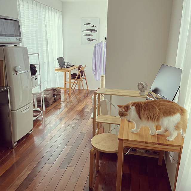 w_fox0713さんの実例写真