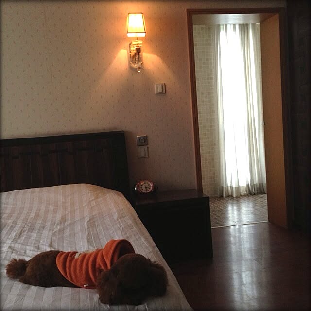 maylieさんの実例写真