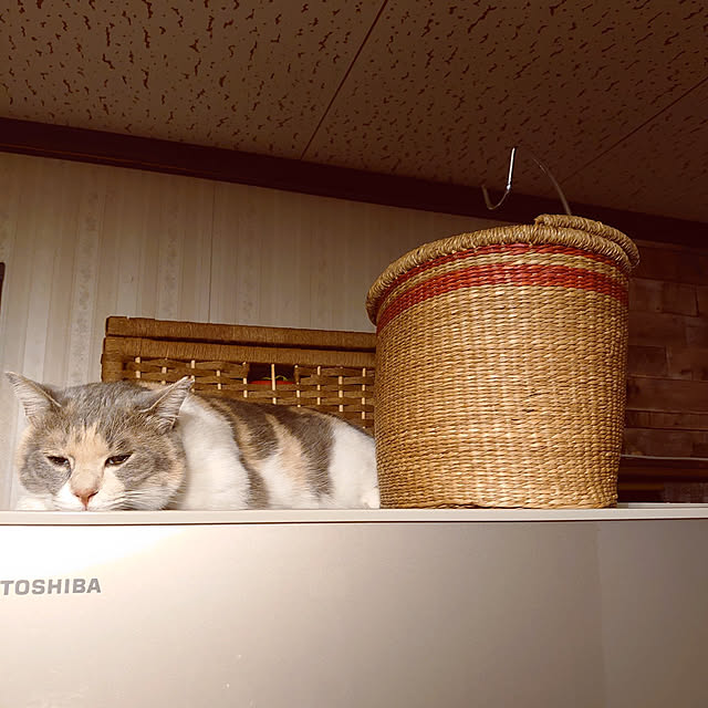 fukuさんの実例写真
