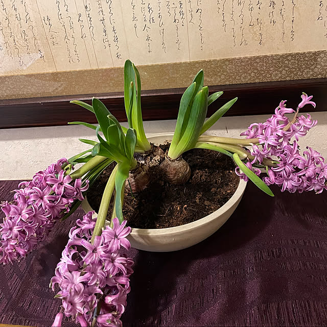 mamizaさんの実例写真