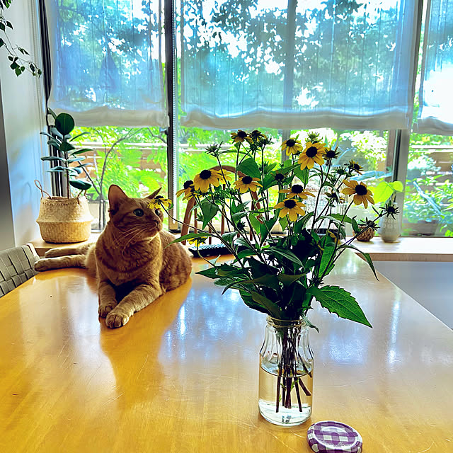 pooさんの実例写真