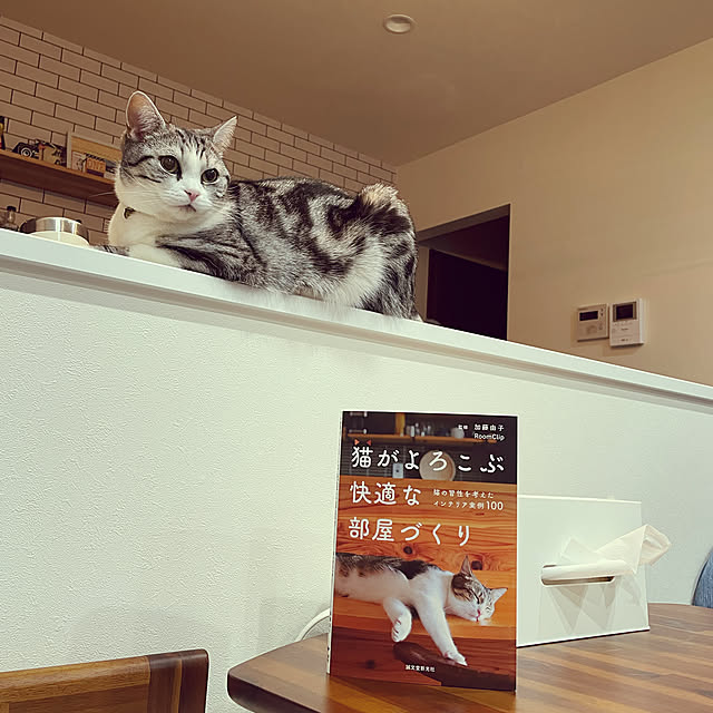 taMAさんの実例写真