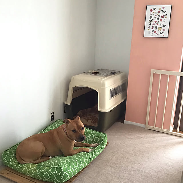 DogNook_hotelさんの実例写真