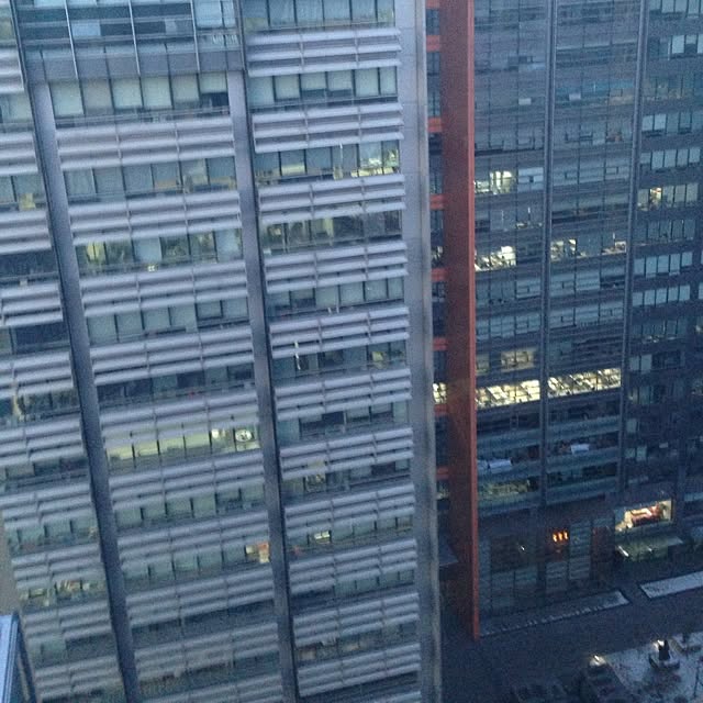 errorfoxさんの実例写真