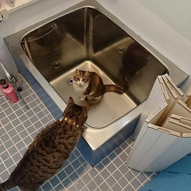 berariさんの実例写真