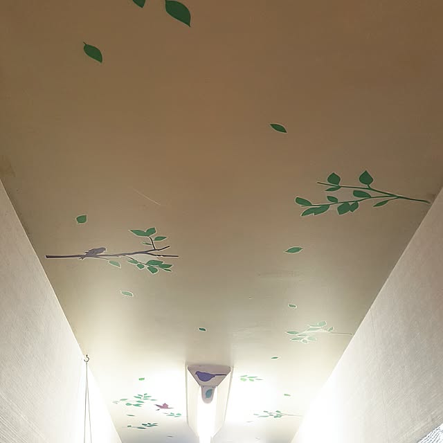 壁/天井/ウォールステッカーのインテリア実例 - 2017-01-26 22:33:11