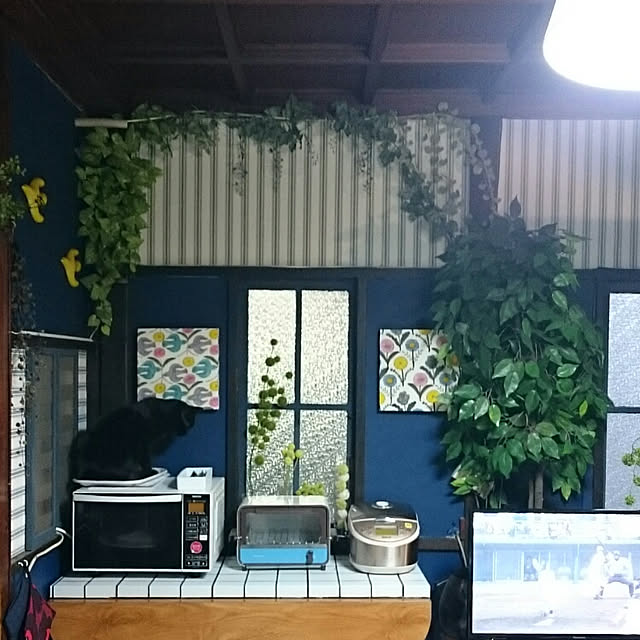 mademoisellenoaさんの実例写真