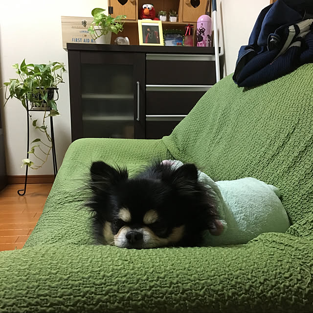 sakiさんの実例写真