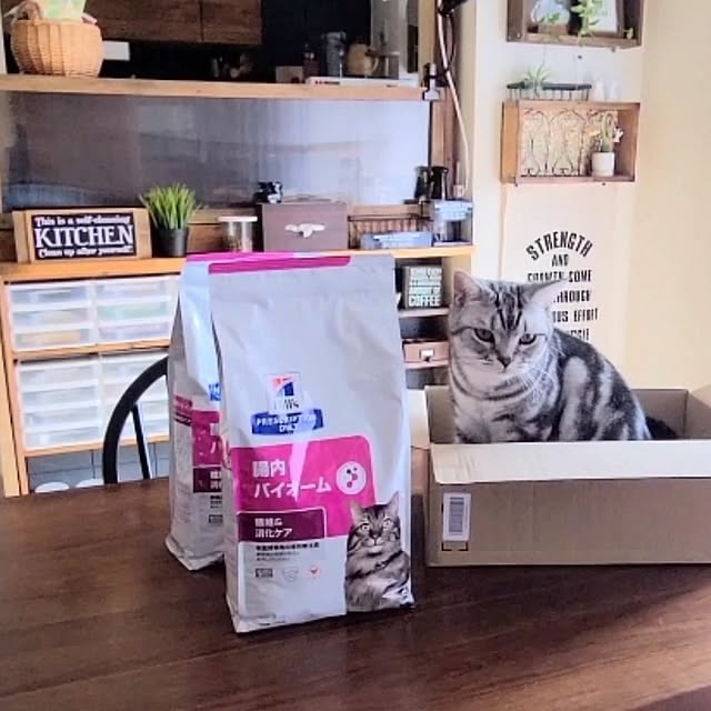 lovepeaceさんの実例写真
