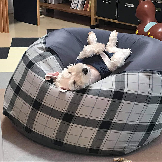kazlegoxさんの実例写真