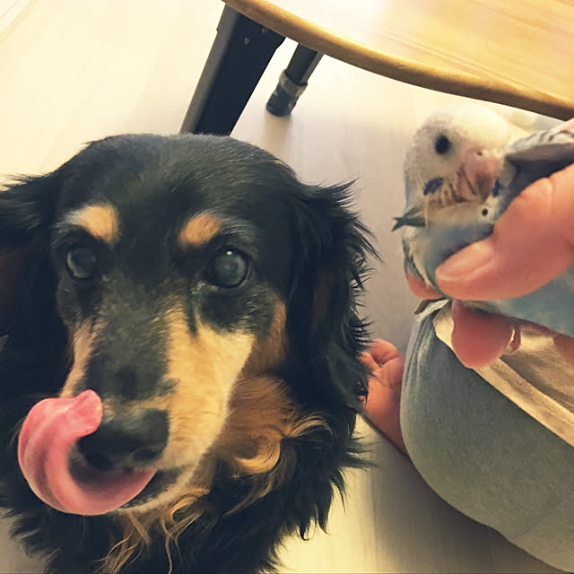 ohanaさんの実例写真