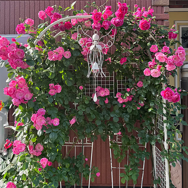 RoseLife5818さんの実例写真