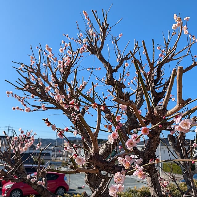 fuchan0930さんの部屋