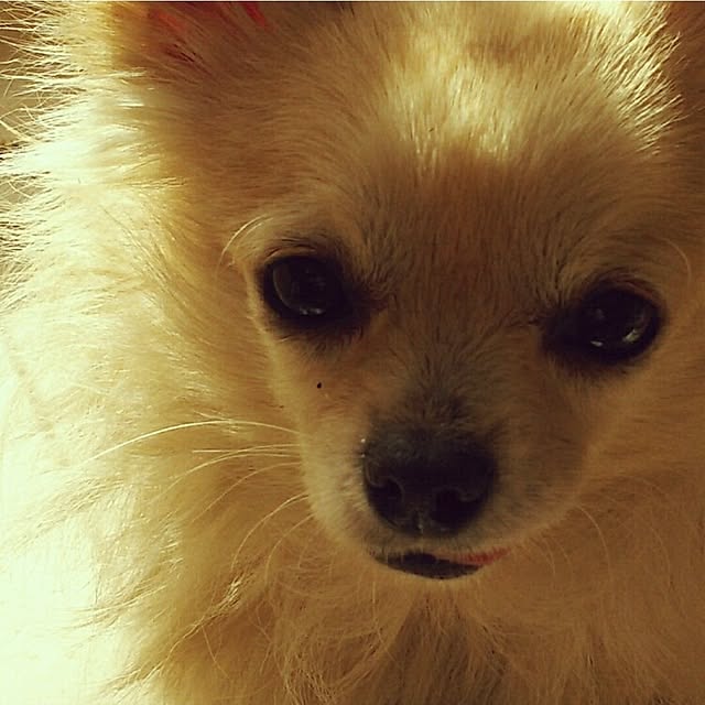 minnieさんの部屋