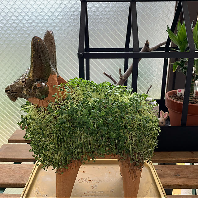 aureaさんの実例写真