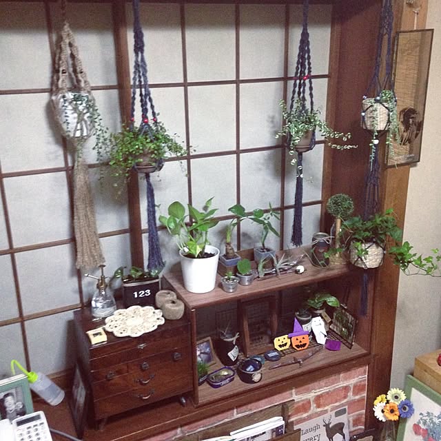 mikyuさんの実例写真
