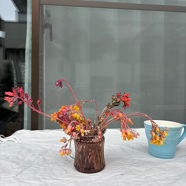 momocchiさんの部屋