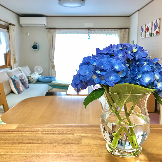 haruminさんの実例写真