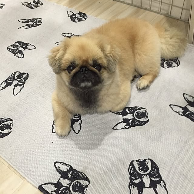 Eijiさんの実例写真