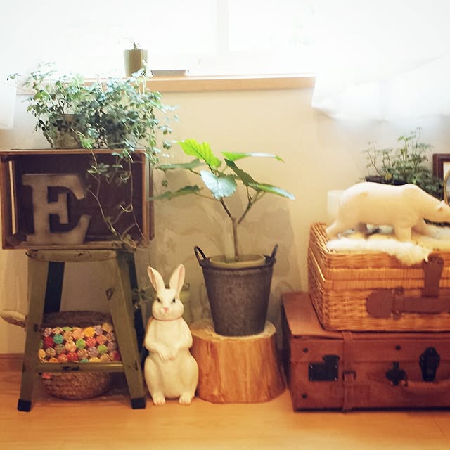 masax_xさんの実例写真
