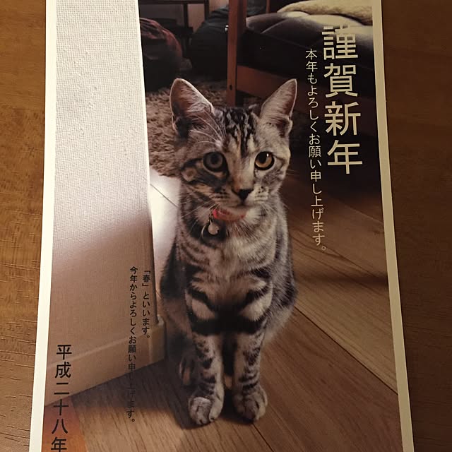 haruさんの実例写真