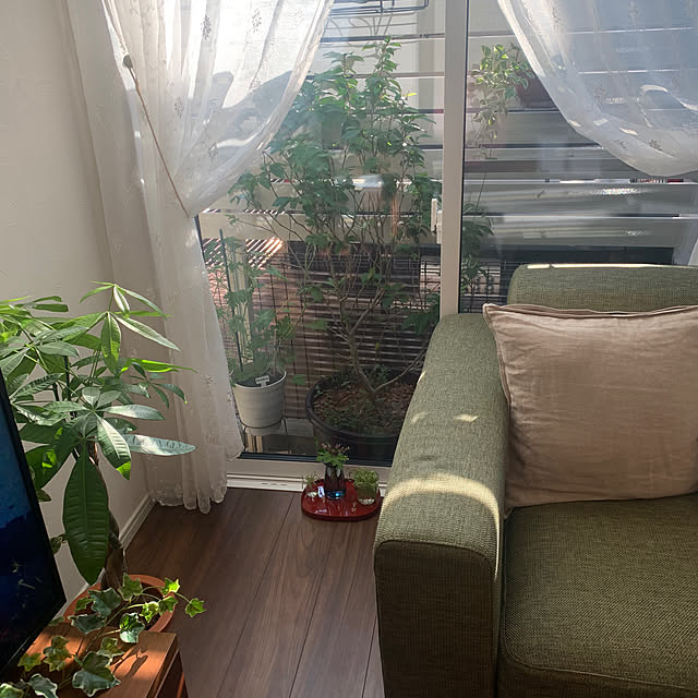 akitsukiさんの部屋