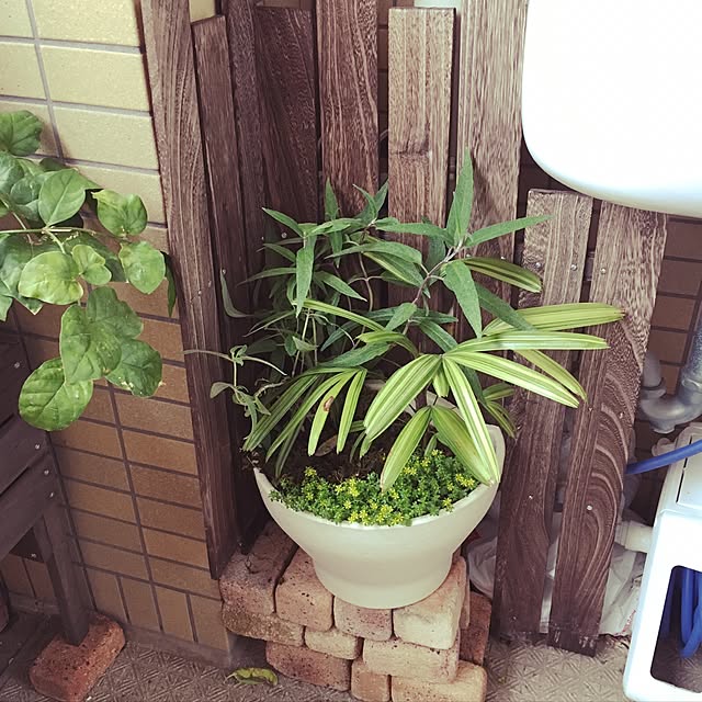 nabeさんの実例写真