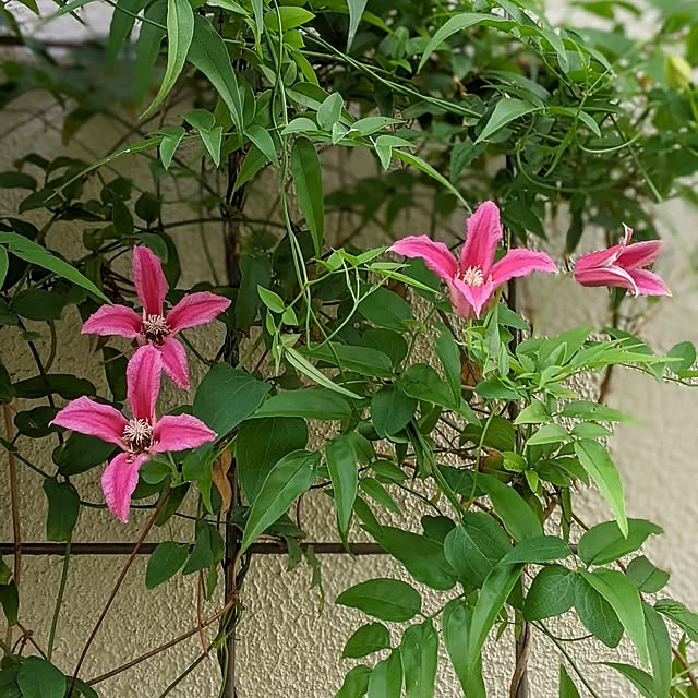 hiroさんの部屋