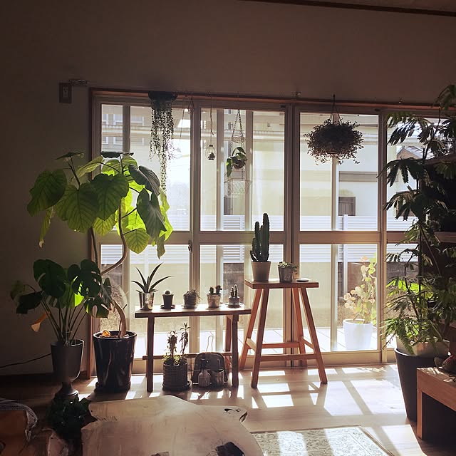 mitamaさんの実例写真