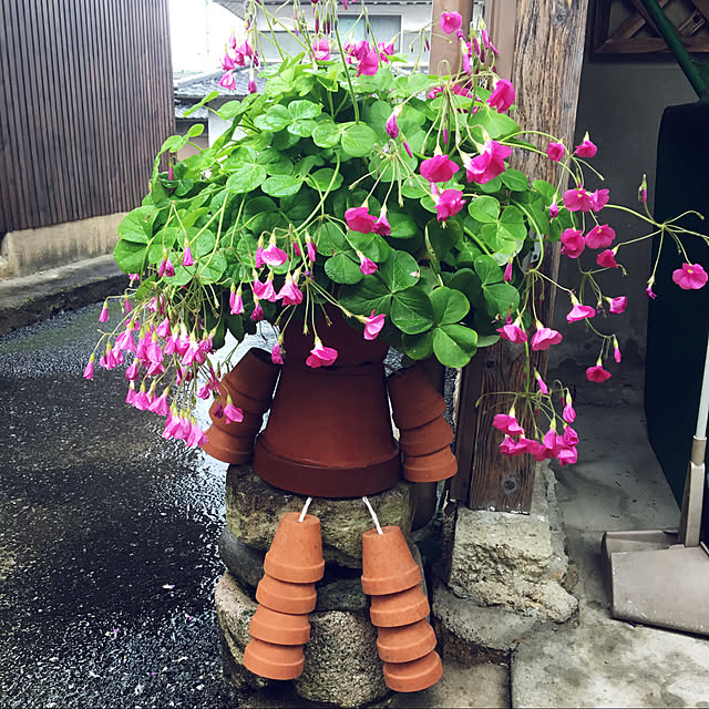 mogeさんの実例写真