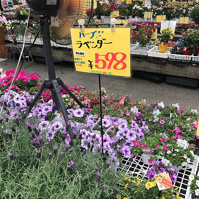 himeringoさんの実例写真