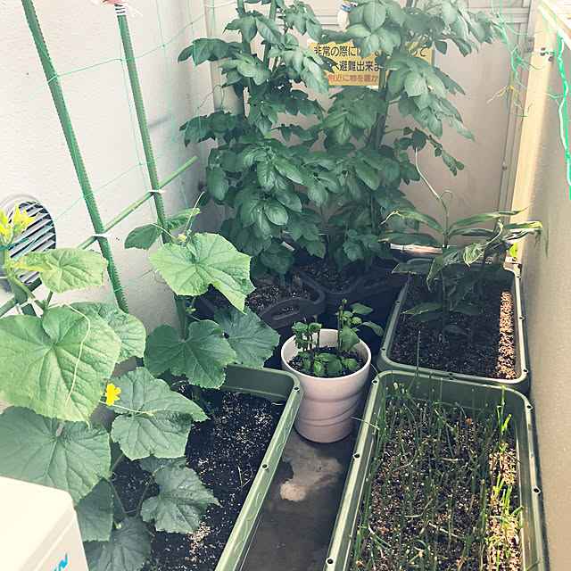 hanachanさんの部屋