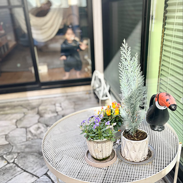 Minteaさんの部屋