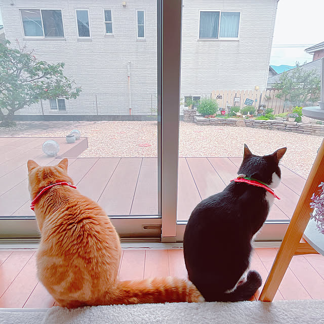 moolさんの部屋
