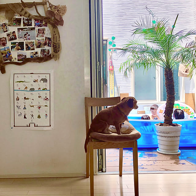Yukoさんの実例写真