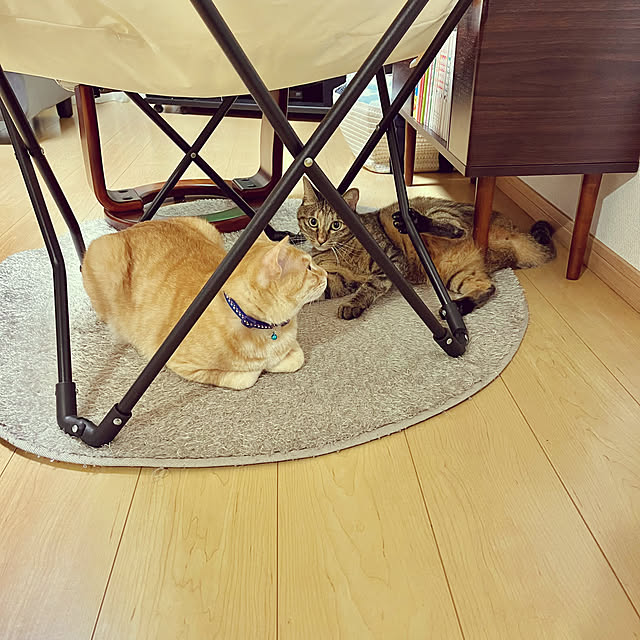 chiiさんの部屋