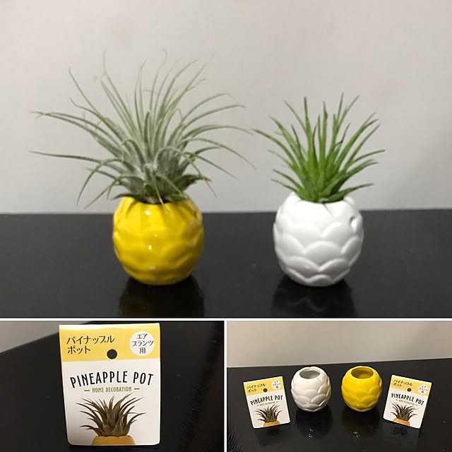satominさんの実例写真