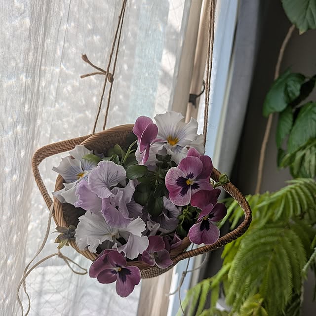 popoさんの実例写真